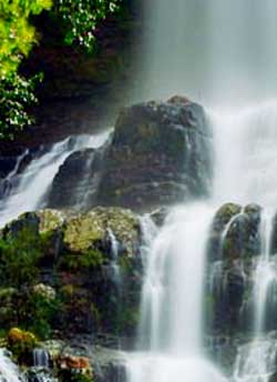 Talakona-Waterfalls