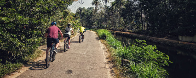 Art of Bicycle Trips - Adventure - Kerala