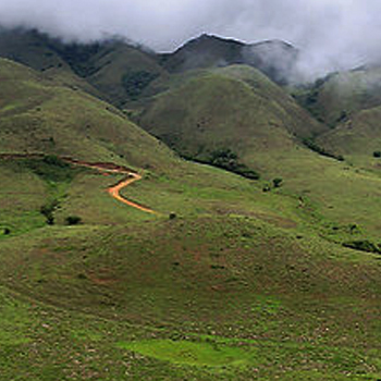 Mukurthi-National-Park
