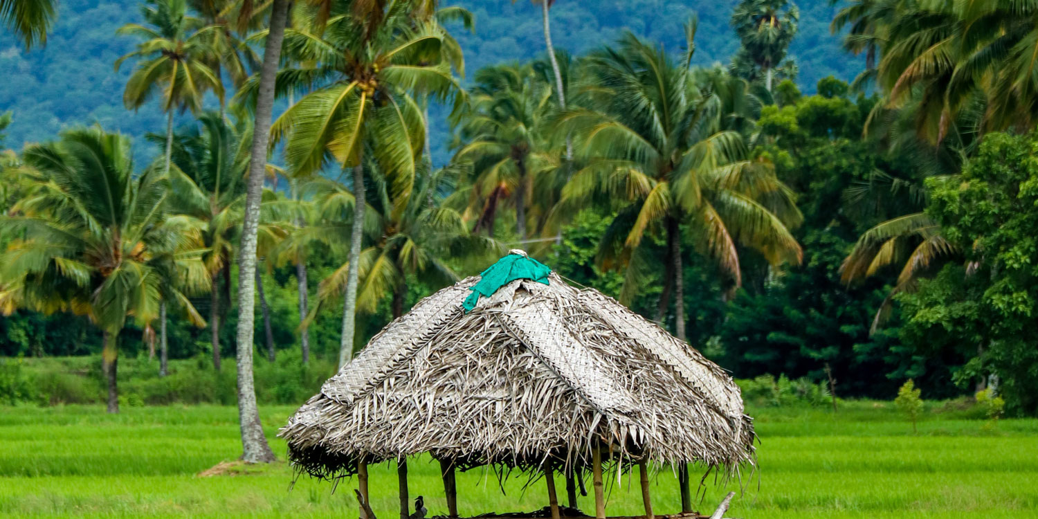 kerala-hill-tour-packages