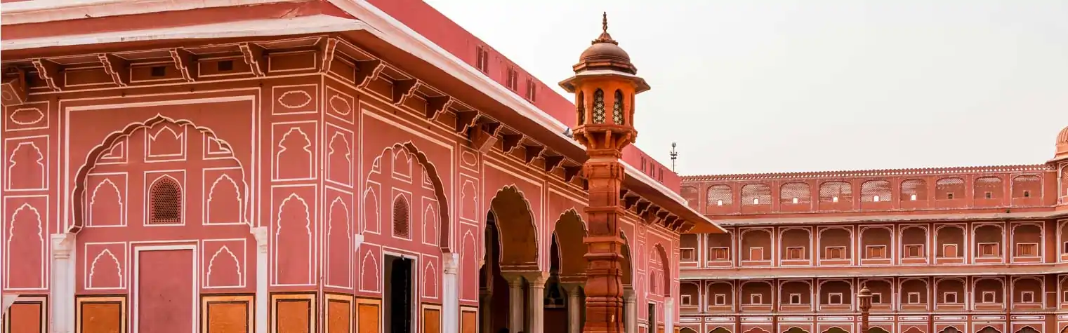 Wildlife and Heritage Tour: Ranthambhore and Jaipur