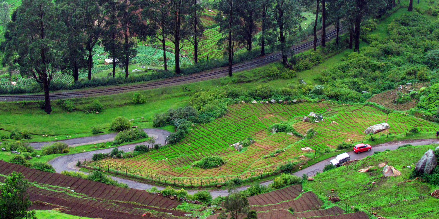 the-queen-hill-ooty-southtourism.in