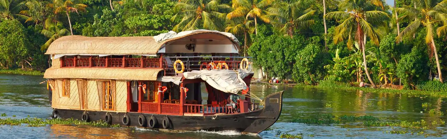Munnar and Alleppey