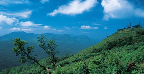 Short tour to Coorg 