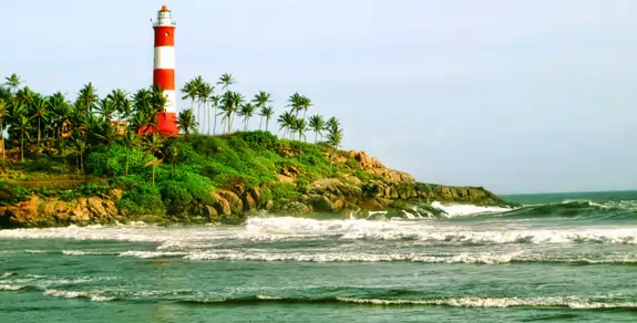 Friends group tours