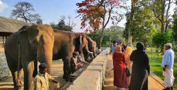 Karnataka Tours