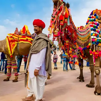 pushkar camel fair of Rajasthani