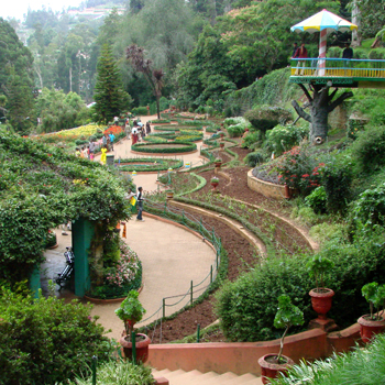 Government Botanical Gardens