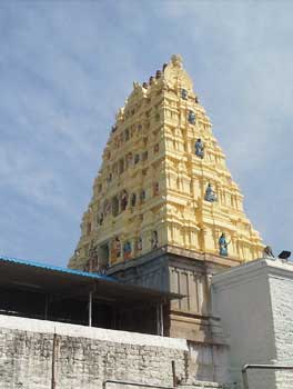 Sri lakshmi Narasimha Temple
