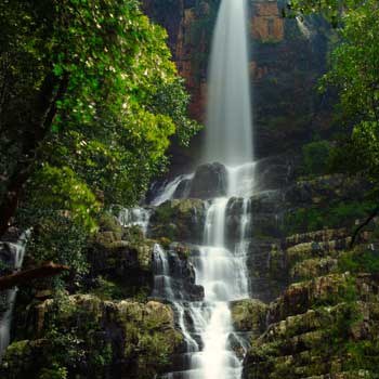 Talakona waterfalls
