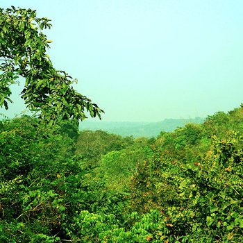 Kinnerasani Wildlife Sanctuary