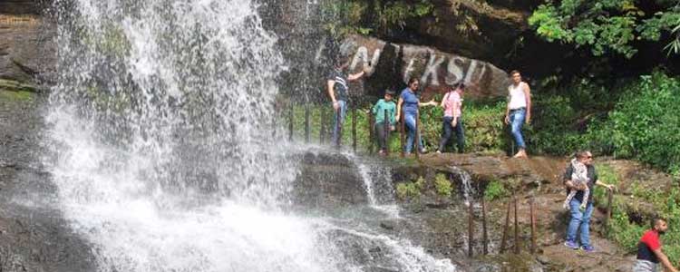 Cheeyapara Waterfalls Munnar