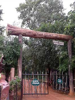 Nagarjunsagar Srisailam Tiger Reserve