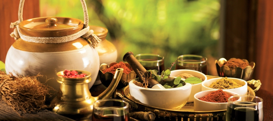 The Rise of Wellness Tourism: How It Helps Rejuvenate the Mind and Body
