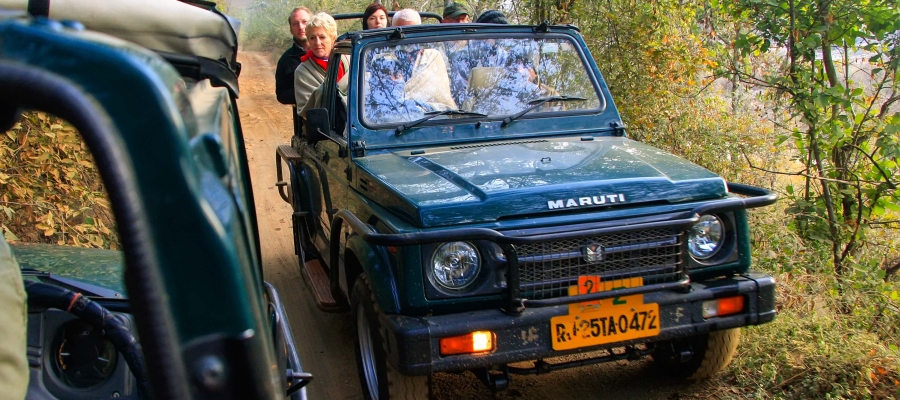 Madhya Pradesh: Your ticket to the wild in India